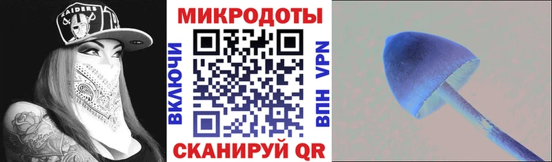 Галлюциногенные грибы прущие грибы  Игарка 